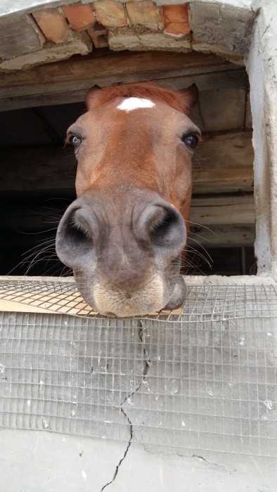 Photo de profil de minigwen14