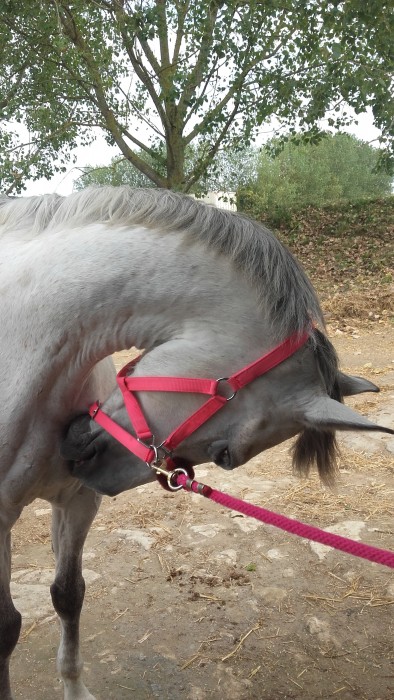 Photo de profil de leoniegautie