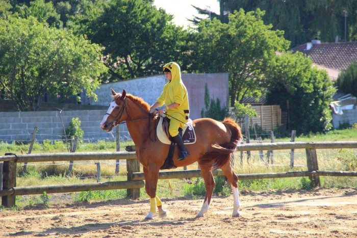 Photo de profil de prescillia85