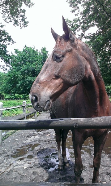 Photo de profil de equdia