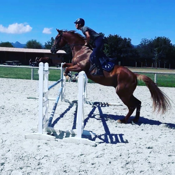 Photo de profil de medkacher