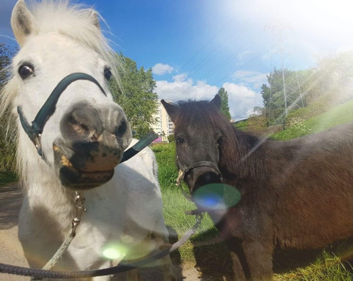 Photo de profil de quick1rebelle