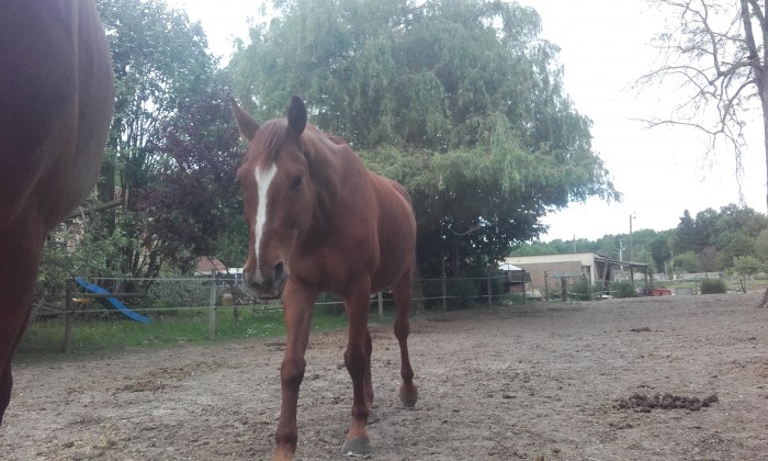 Photo de profil de coraline77