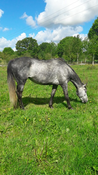 Photo de profil de pluieblanche