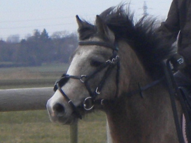 Photo de profil de eddy_gaston