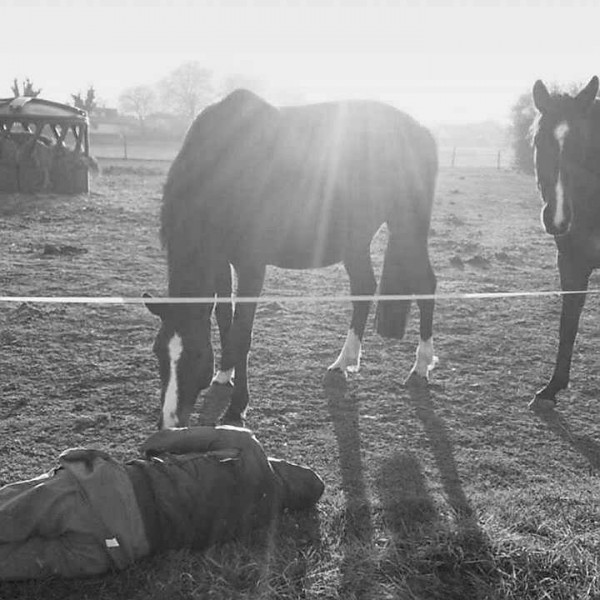 Photo de profil de luluben