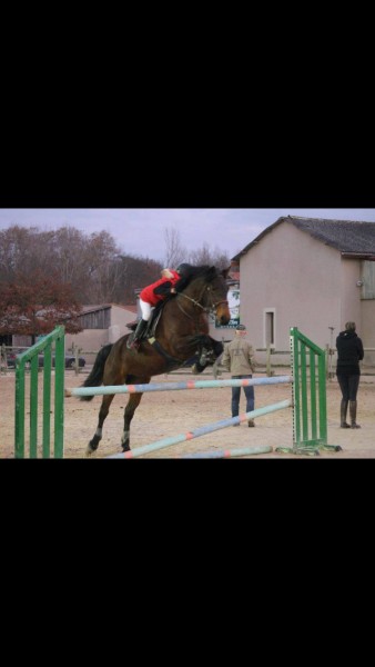 Photo de profil de maelyss36