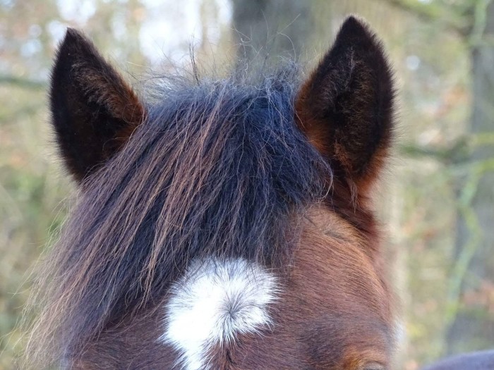 Photo de profil de loladt