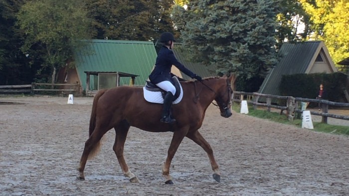 Photo de profil de maelultra