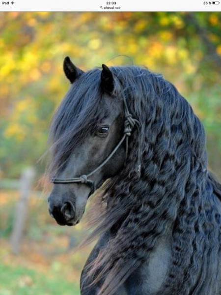 Photo de profil de alexia100308