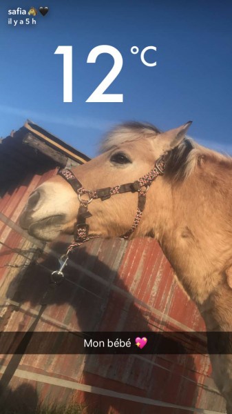 Photo de profil de lemyatii