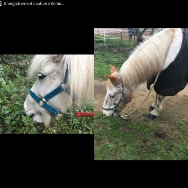 Photo de profil de giraldi