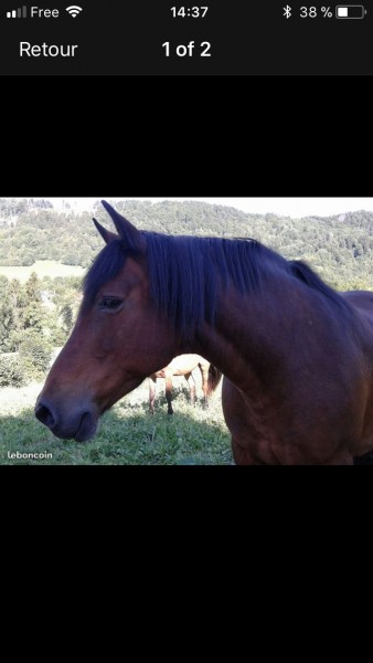 Photo de profil de vavou74