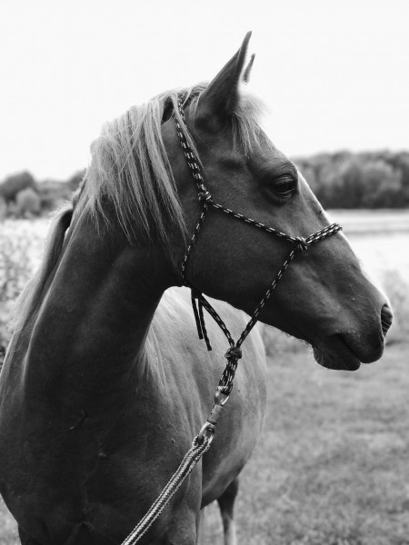 Photo de profil de barbara_d