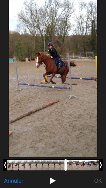 Photo de profil de camillacheval