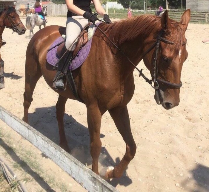 Photo de profil de julieax