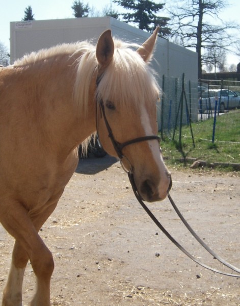 Photo de profil de clairecd