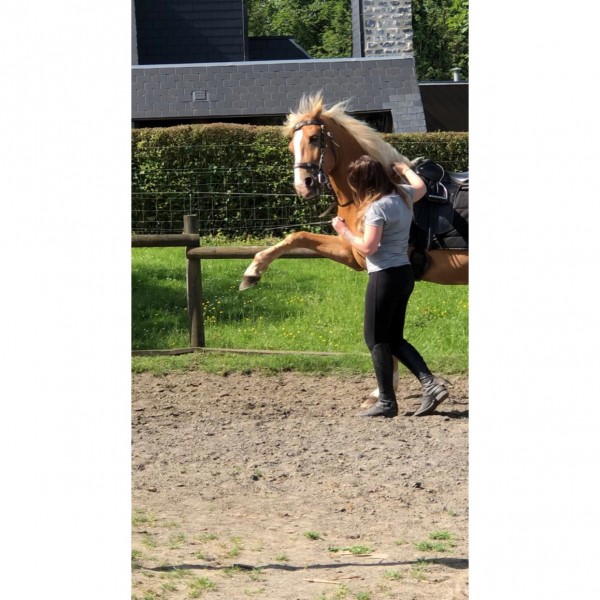 Photo de profil de anaiswtu