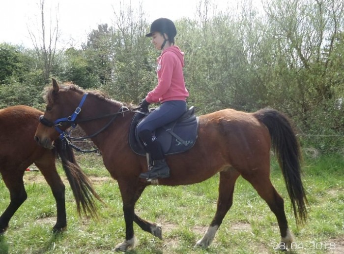 Photo de profil de lis.brimbo