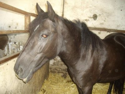 Photo de profil de passionforever