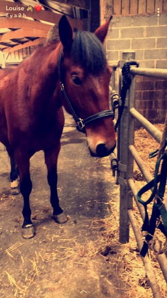 Photo de profil de louise1706