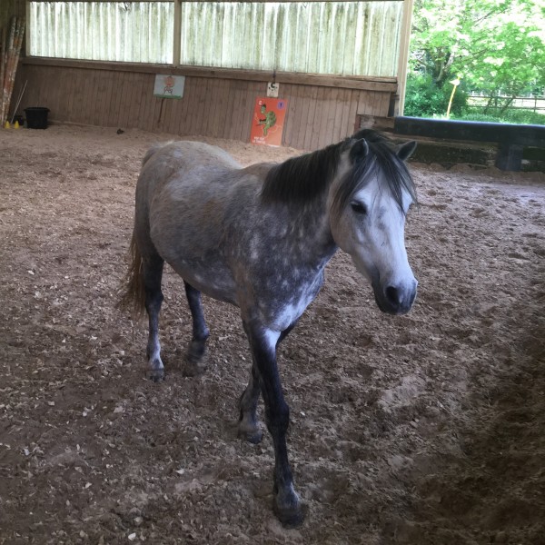 Photo de profil de gwadoo