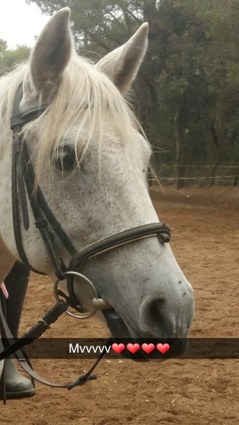 Photo de profil de oliviou