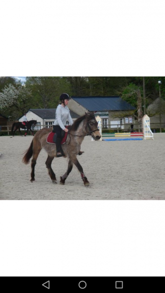 Photo de profil de noelie.mth