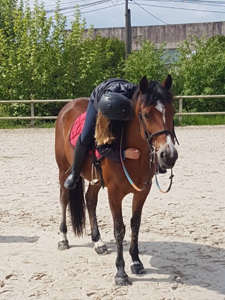 Photo de profil de horse_my_hobby