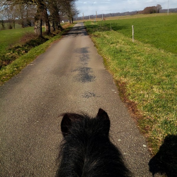 Photo de profil de chevaliette