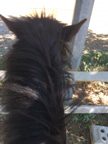 Photo de profil de malik25