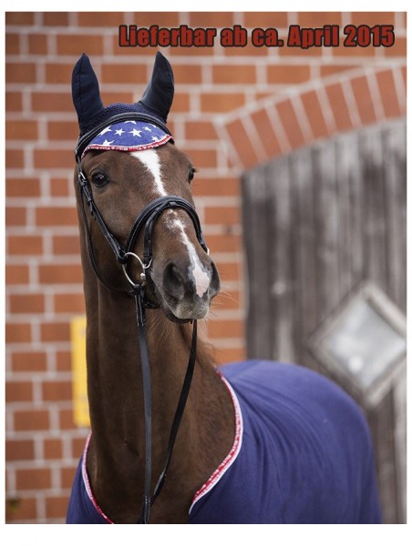 Photo de profil de a.magic.pony