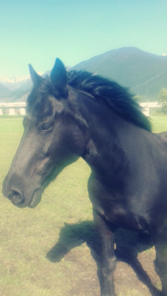 Photo de profil de kiloulou