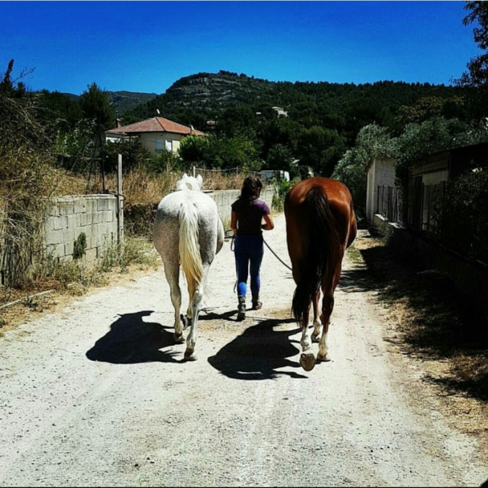 Photo de profil de marion1343