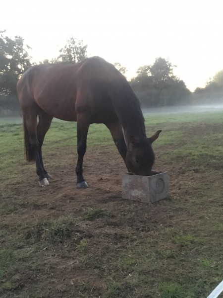 Photo de profil de clemclem44690