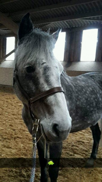 Photo de profil de vahinee08