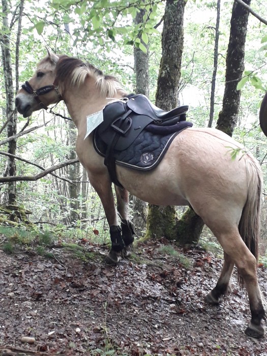 Photo de profil de audreyrmz