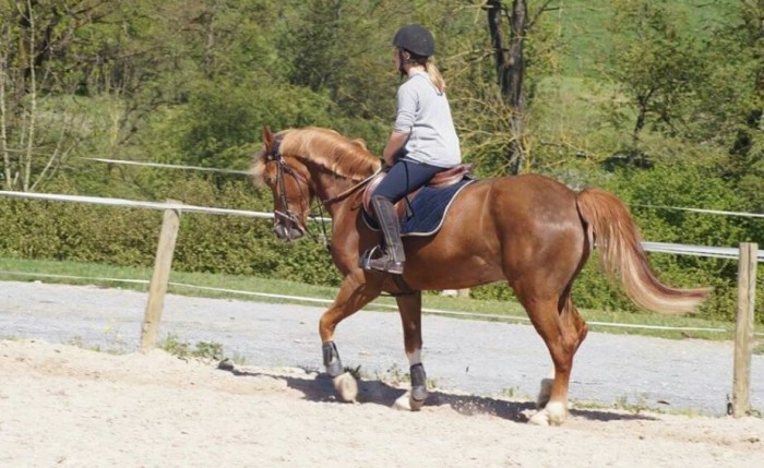 Photo de profil de nina.brovedani