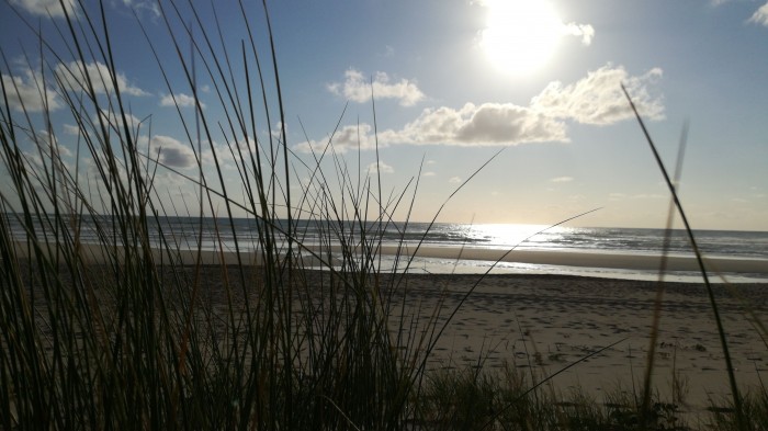 Photo de profil de tarnes