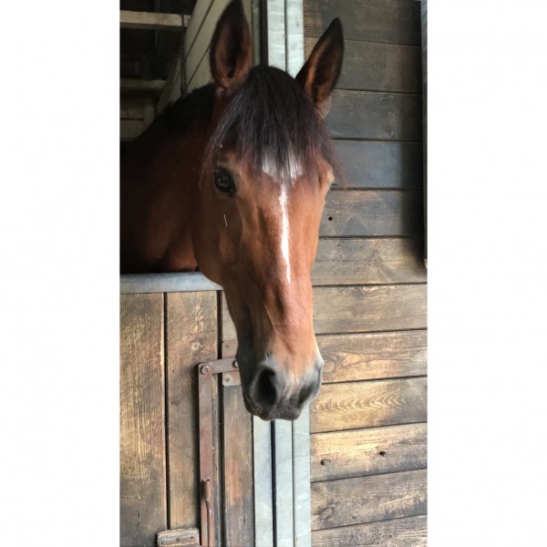 Photo de profil de evabdr93110