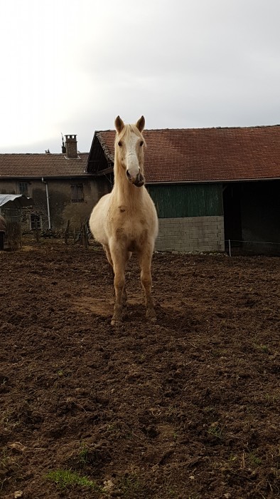 Photo de profil de clemencekys