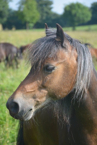 Photo de profil de chloebgn95