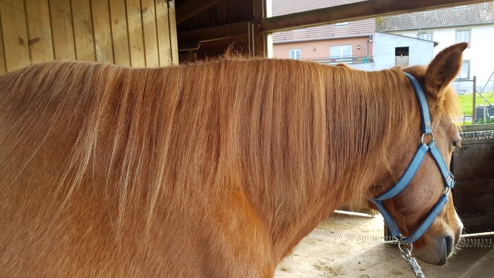 Photo de profil de c3riise