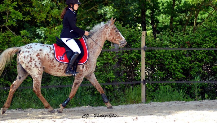 Photo de profil de mariemorineau