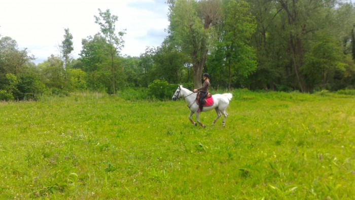 Photo de profil de manonloli