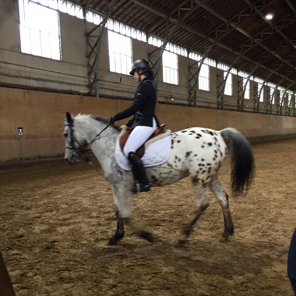 Photo de profil de wendyfreifer