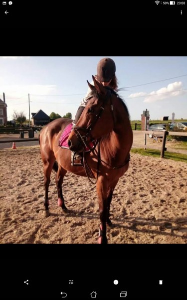 Photo de profil de artdevie14