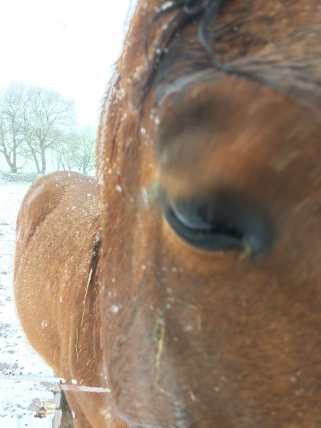 Photo de profil de laju87