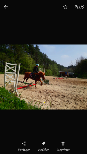 Photo de profil de camcavaliere