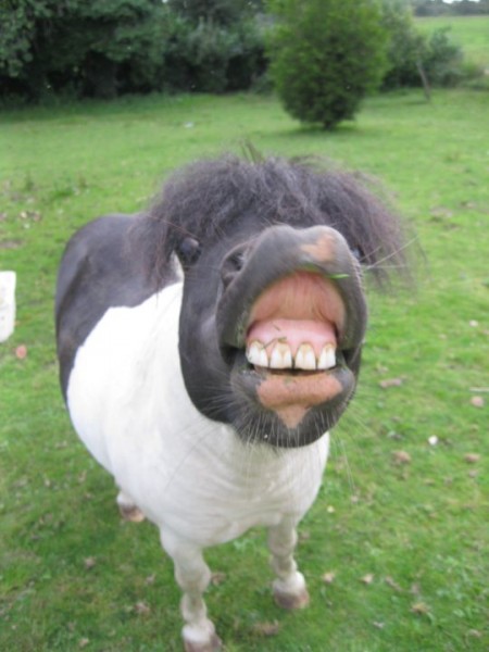 Photo de profil de unyolo
